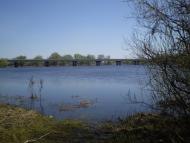 Карпилівка з panoramio.com