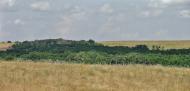 Русько-Орлівка з panoramio.com - Русско-Орловка