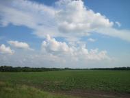 Пашенівка з panoramio.com