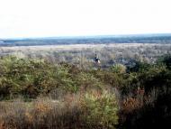 Журавне з panoramio.com