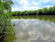 Дубровиця з panoramio.com