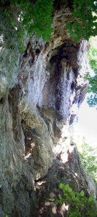 Петрів з panoramio.com