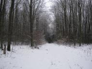 Чудинівці з panoramio.com