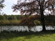 Красна Лука з panoramio.com