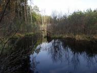 Космачів з panoramio.com