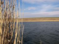 Слобода-Межирівська з panoramio.com