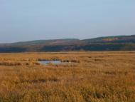 Рудня з panoramio.com