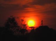 Суворовське з panoramio.com