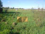 Привільне з panoramio.com