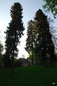 Рай з panoramio.com