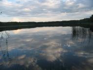 Піски-Річицькі з panoramio.com