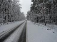 Проліски з panoramio.com