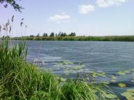 Коленцівське з panoramio.com