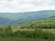 Щасливе з panoramio.com - Schaslyve