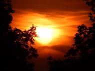 Оріхове з panoramio.com