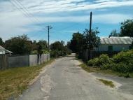 Sukachi - Latest photos