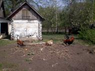 Клин з panoramio.com