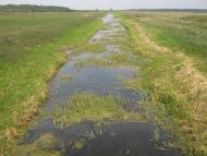 Рудка-Миринська з panoramio.com