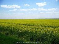 Вільна Україна з panoramio.com - Вільна Україна