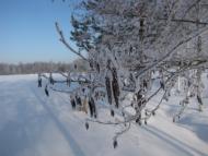 Кам'янка з panoramio.com