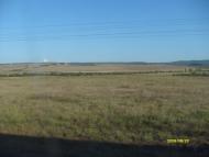 Сирень з panoramio.com