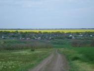 Широколанівка з panoramio.com