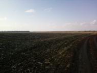 Долгенькое - Последние фото