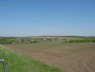 Криничне з panoramio.com