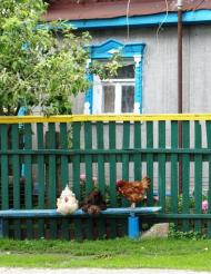 Карпівці з panoramio.com