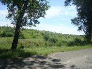 Баламутівка з panoramio.com