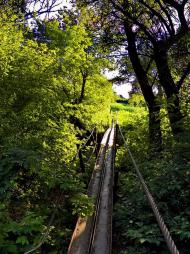 Верхня Кринка з panoramio.com