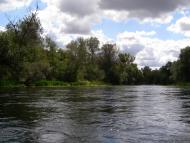 Щурівка з panoramio.com