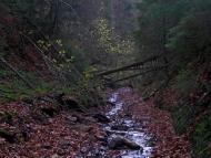 Зубриця з panoramio.com