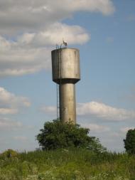 Копачівка Друга з panoramio.com