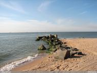 Рибацьке з panoramio.com