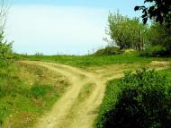 Садовий з panoramio.com