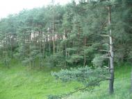 Чудинівці з panoramio.com