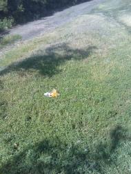 Амбарів з panoramio.com