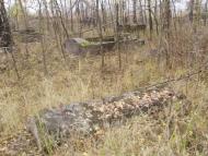 Чоповичі з panoramio.com