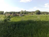 Савин з panoramio.com