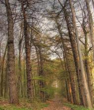 Стара Скварява з panoramio.com