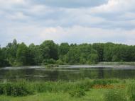 Гмирянка з panoramio.com