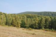 Ільниця з panoramio.com