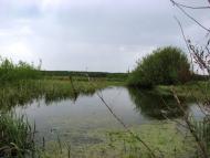 Малійки з panoramio.com