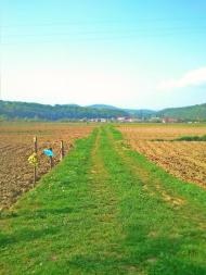 Дубриничі з panoramio.com