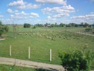 Привільне з panoramio.com