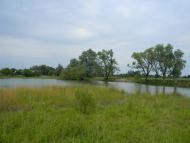 Хрипівка з panoramio.com