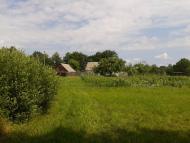 Goryn - Latest photos