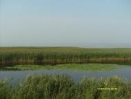 Малокатеринівка з panoramio.com