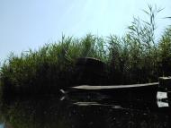 Базалія з panoramio.com